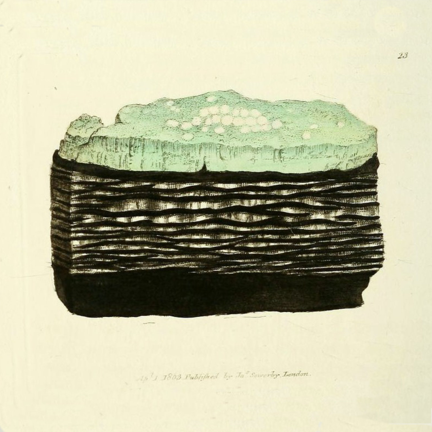 Shopify Store Analyse